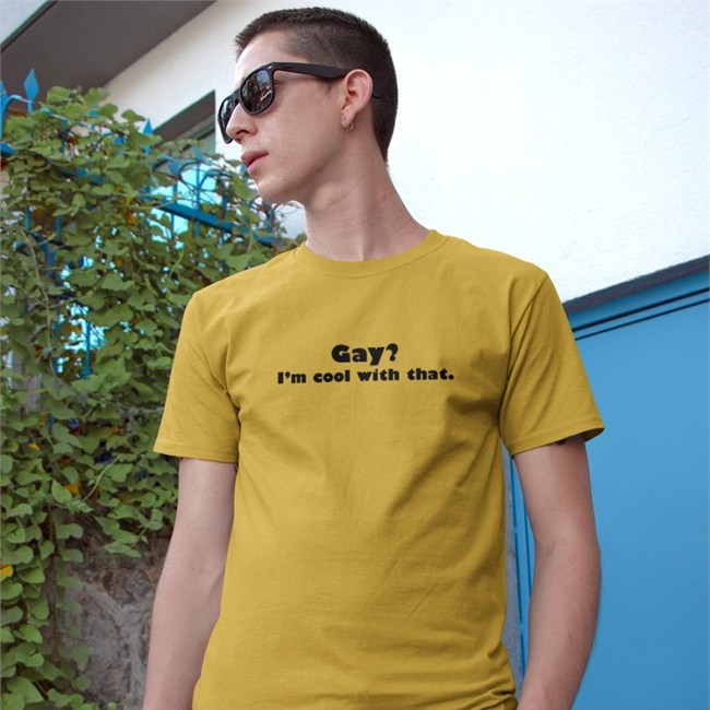 Gay I'm Cool With That Tee Gay I'm Cool With That Shirt Shirts That Go Hard