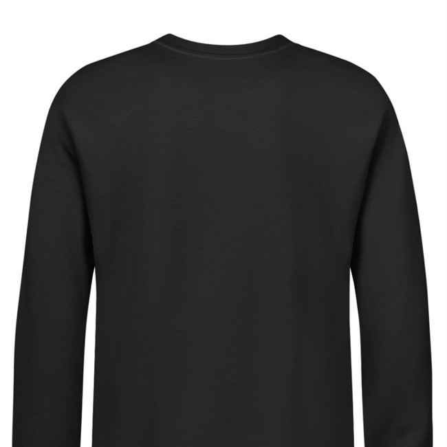 Northernlion Lion Square Long Sleeve T Shirt