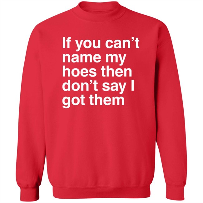 If You Can't Name My Hoes Then Don't Say I Got Them Shirt Hoodville If You Can't Name My Hoes Then Don't Say I Got Them Shirt Hoodville