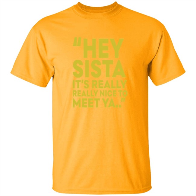 Hey Sista Its Really Really Nice To Meet Ya T Shirt Hey Sista Its Really Really Nice To Meet Ya T Shirt