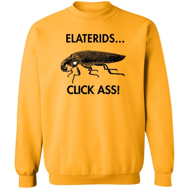Cockroach Elaterids Click Ass Shirt Coleopterist Coleopterist