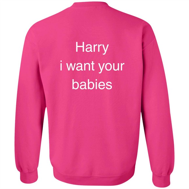 Hsloutfits Love On Tour Outfits Harry I Want Your Babies Shirt