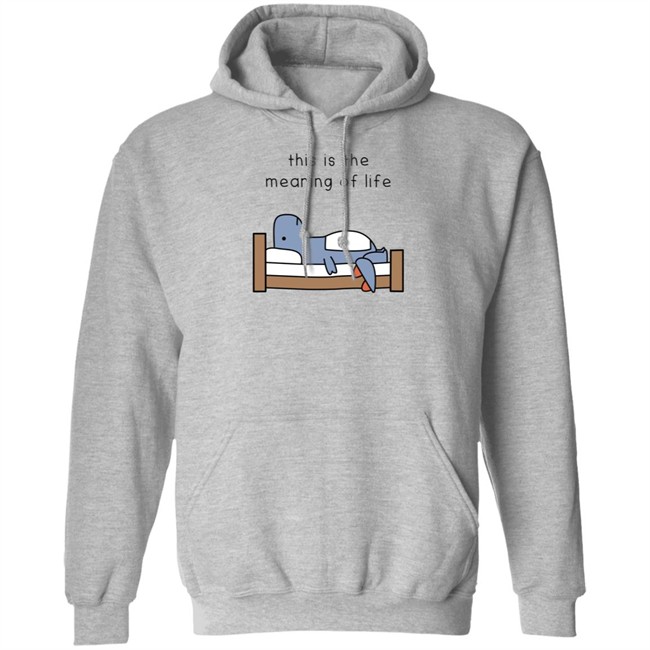 Dinosaur Shop The Meaning Of Life Hoodie Sweatshirt Dino Comics