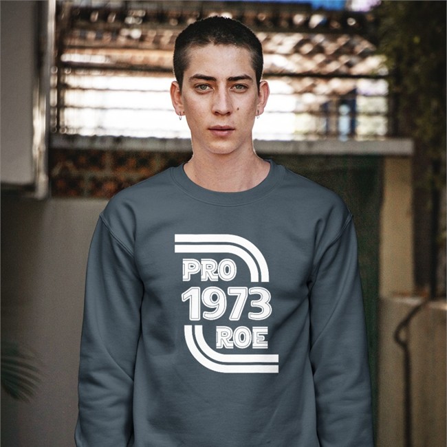 Pro 1973 Roe Hoodie Biden Pro 1973 Roe Hooded Sweatshirt Biden