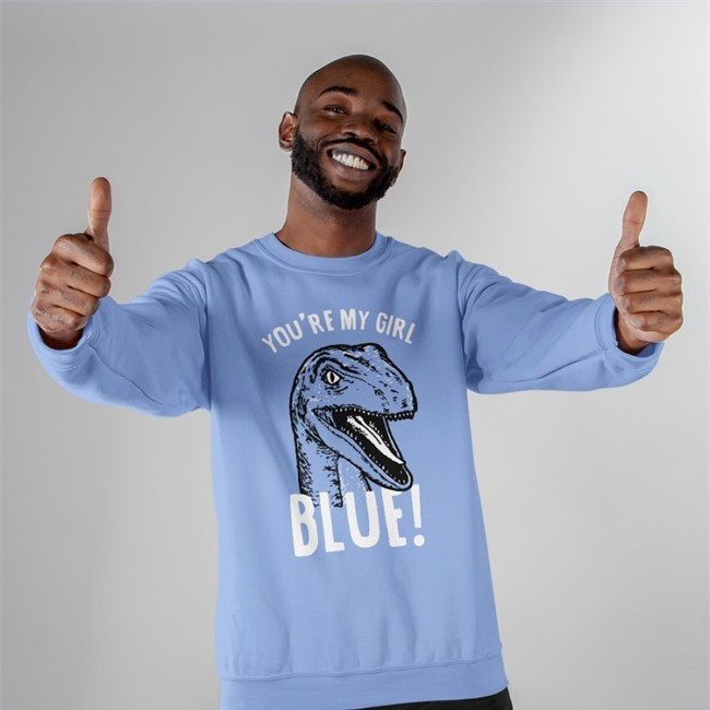 Rhys Darby You're My Girl Blue Jurassic World Sweatshirt