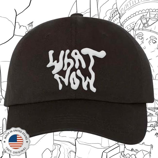 Official Brittany Howard Merch Store What Now Dad Cap