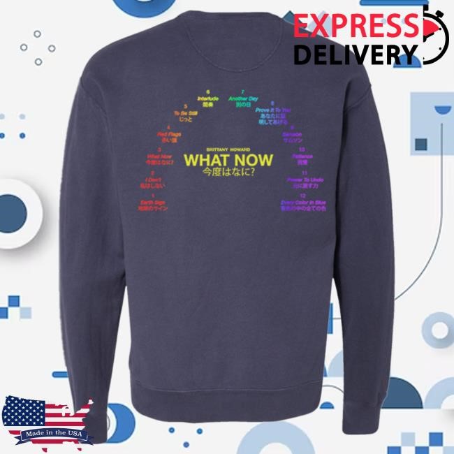 Official Brittany Howard Merch Store What Now Popover Sweatshirt