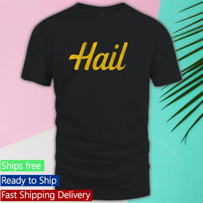 Michigan Wolverines Hail Sweatshirt