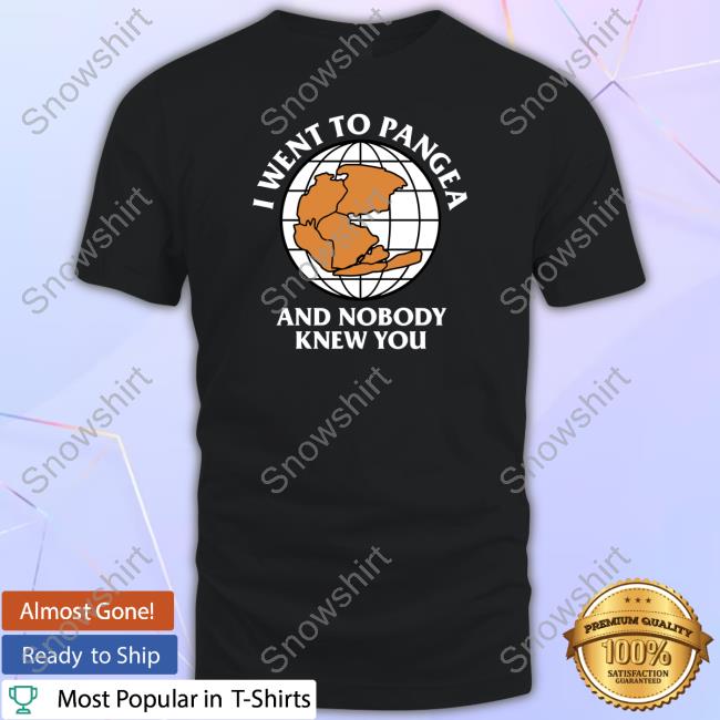 Official Shitheadsteve I Went To Pangea And Nobody Knew You Shirt