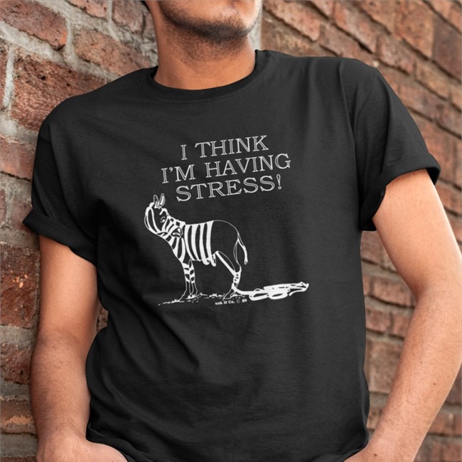 I Think I'm Having Stress Long Sleeve Shirt Paul Sutherlin