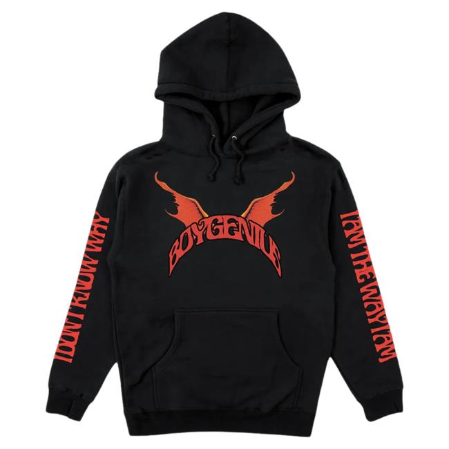 Boygenius Store Merch Shop Demon Hoodie