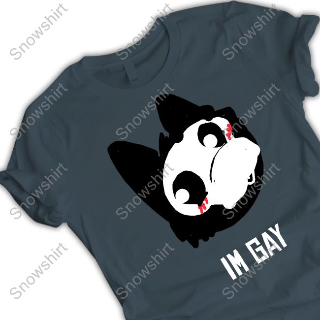 Im Gay T-Shirt Finn And Willow Im Gay Tee