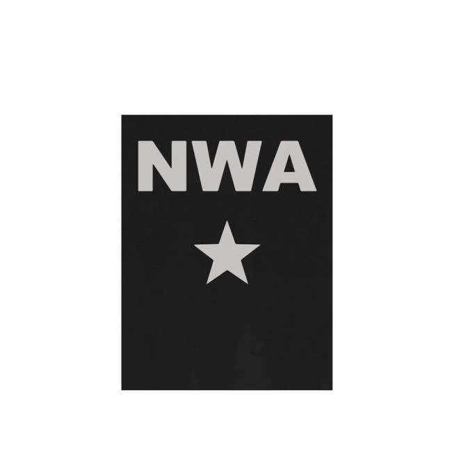 The Smashing Pumpkins NWA Shirt The Smashing Pumpkins Merch Store