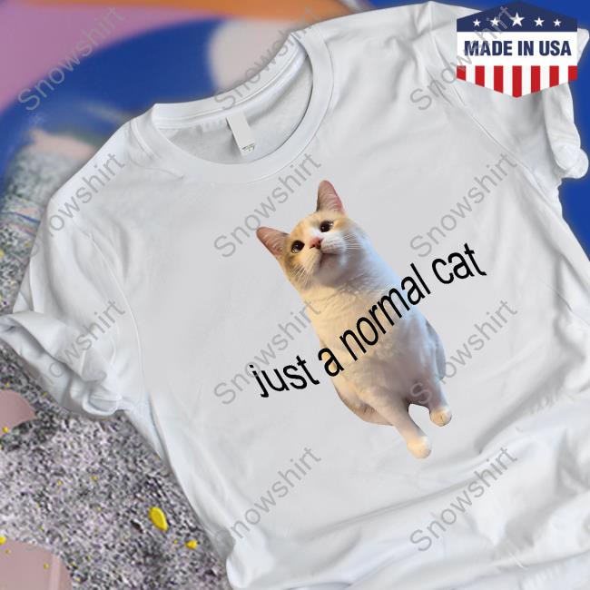 Just A Normal Cat Tee Shirt Panko A Cat’S Mom