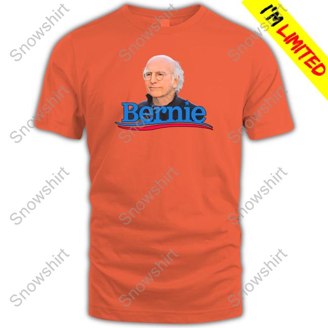 Official Shitheadsteve Merch Bernie T Shirt Bernie Sanders Shirt