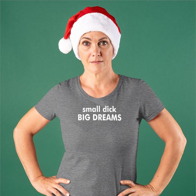 Small Dick Big Dreams Hooded Sweatshirt Small Dick Big Dreams Tee