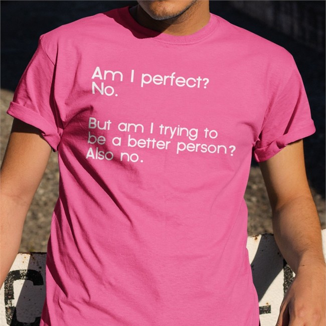 Am I Perfect No But Am I Trying To Be A Better Person Also No Hats Cap Am I Perfect No But Am I Trying To Be A Better Person Also No T-Shirt Weird Thrift Store Shirts