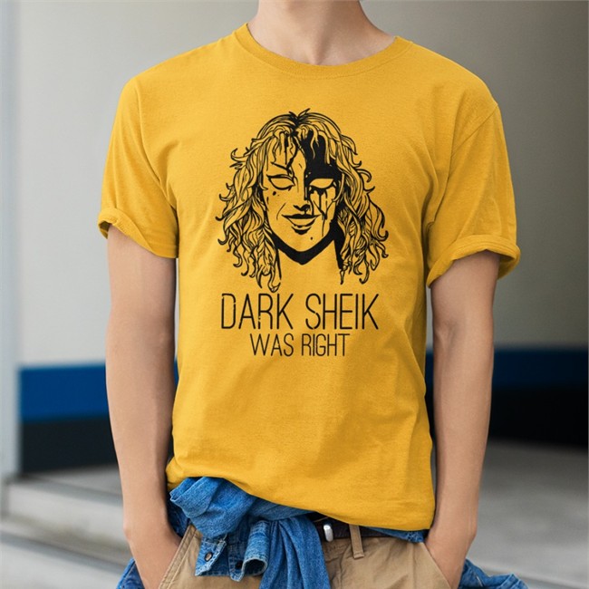 Dark Sheik Was Right Sweatshirt Sheikah Vivi Megapixel Hoodslam Dark Sheik Was Right Shirt 2022 Sheikah Vivi Megapixel Hoodslam