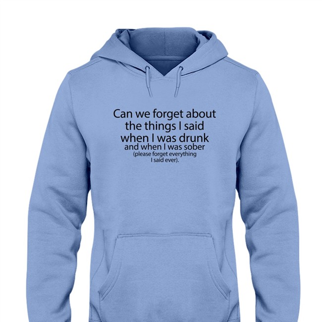 Can We Forget About The Things I Said When I Was Drunk And When I Was Sober Hoodie