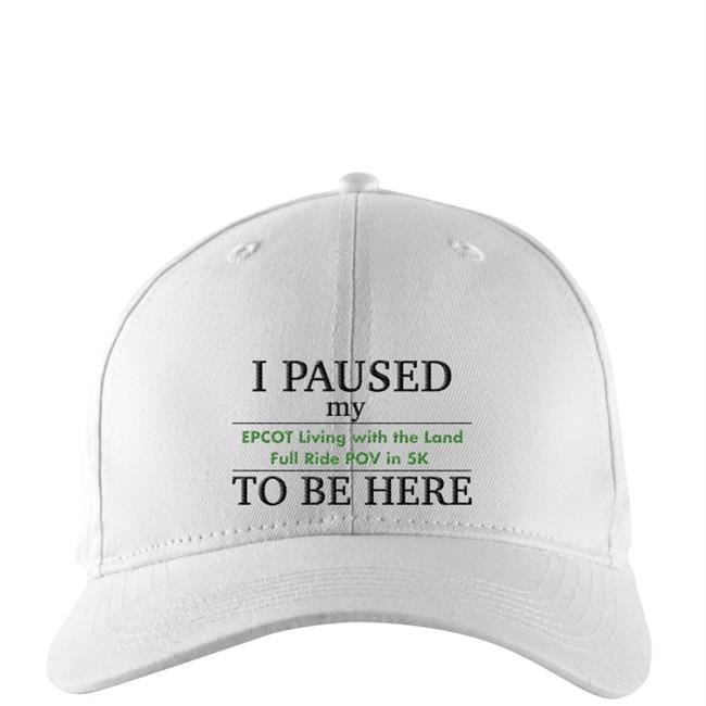 I Paused My Epcot Living With The Land Full Ride Pov In 5K To Be Here T Shirt Grey