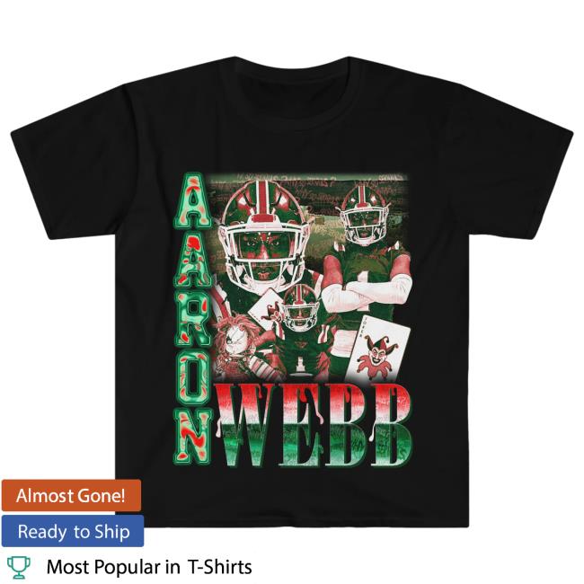 Aaron Webb Vintage Lightweight New T Shirt
