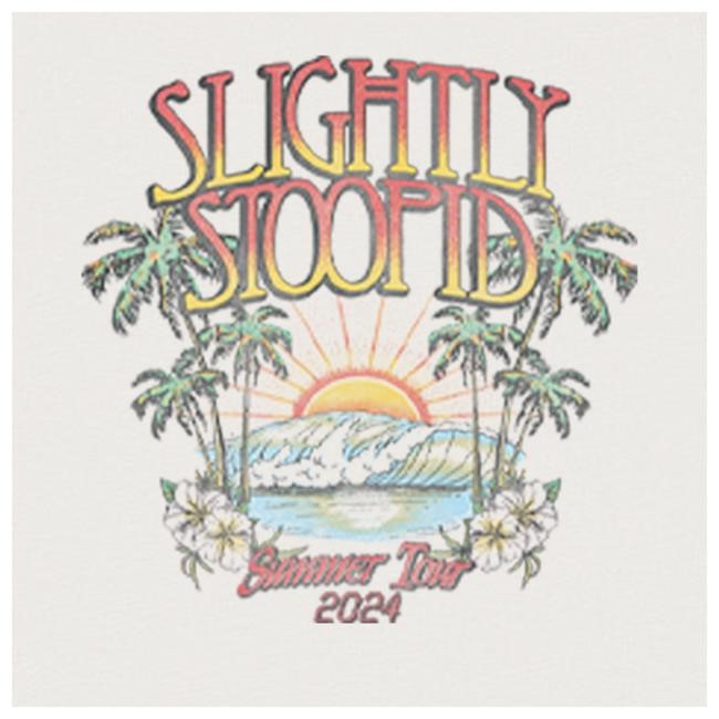 Official Slightly Stoopid Merch Store Shop Vintage Summer Beach Shirt New