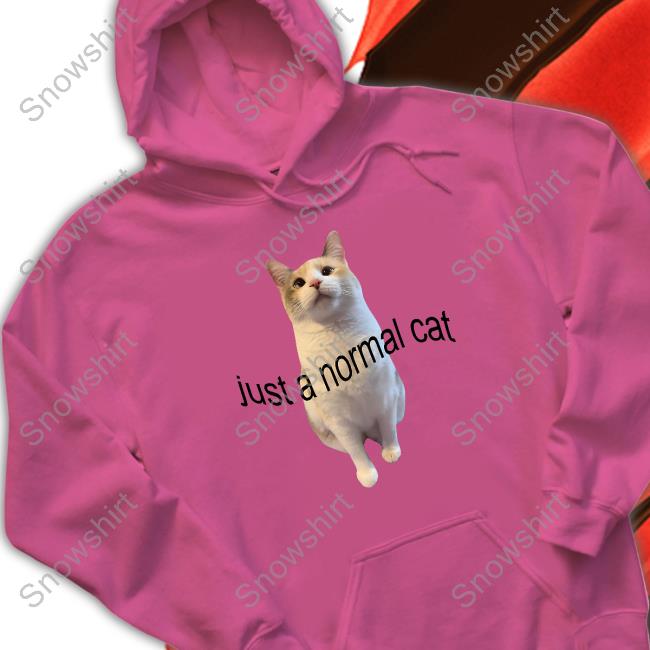 Just A Normal Cat Shirt Just A Normal Cat Hoodie