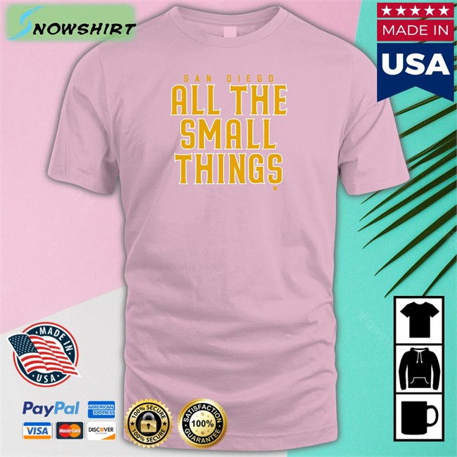 San Diego All The Small Things Shirt