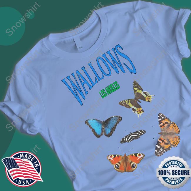 Wallows Merch Butterflies Shirts