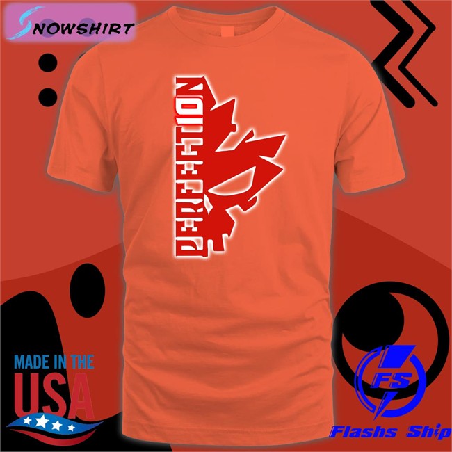 Perfect10n Half Skull T Shirt Best Seller Shopaew Merch Shawn Spears Perfect10n Half Skull Shirt By Shopaew
