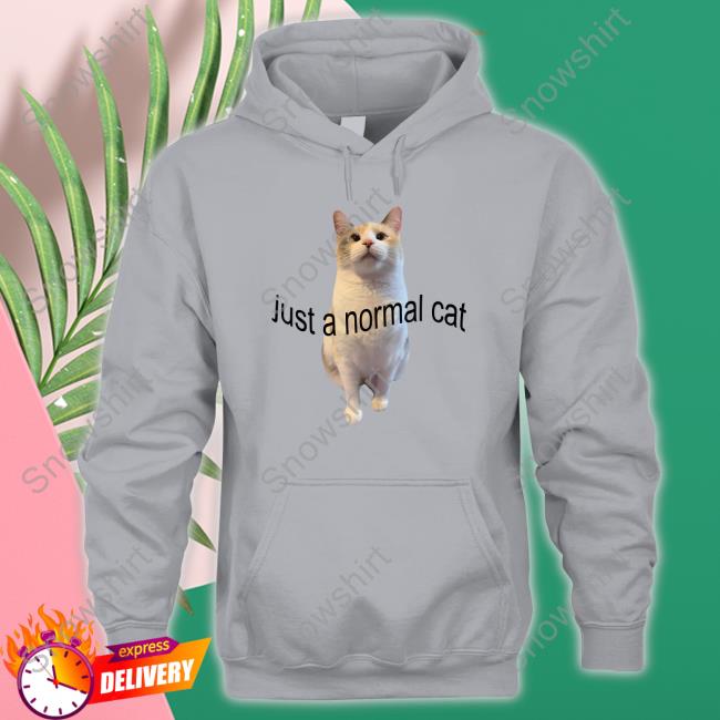 Just A Normal Cat Shirt Just A Normal Cat Tee Shirt